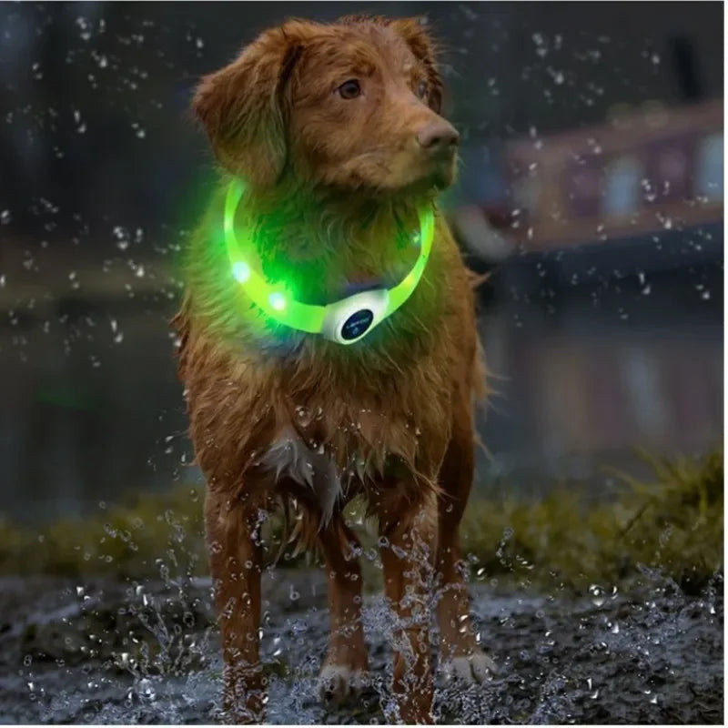 New Led Luminous Dog Collar PVC Waterproof , for Large Medium Small Dogs Collar Usb Light Night Safety Pet Glowing Accessories
